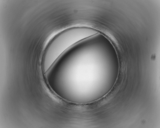 X0000091860936200709050954