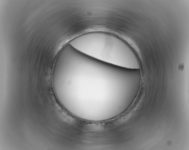 X0000091860937200709050954
