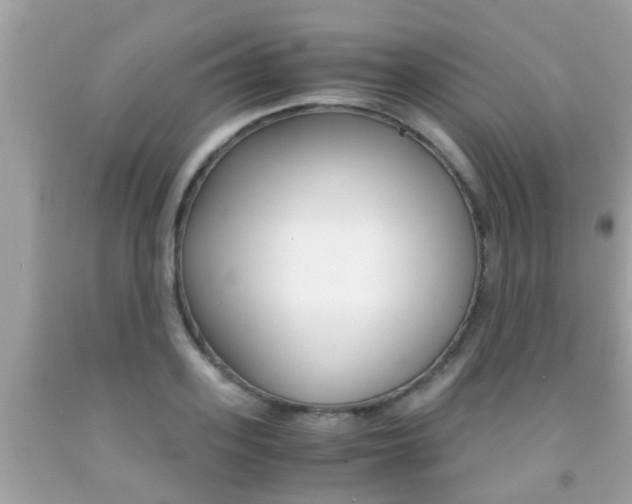 X0000091860939200709050954