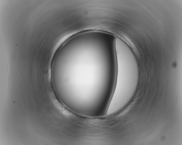 X0000091860940200709050954