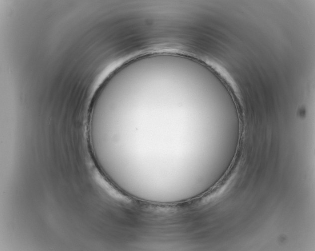 X0000091860941200709050954