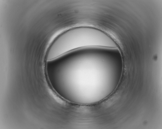 X0000091860942200709050954