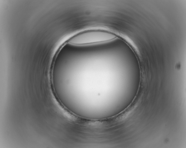X0000091860943200709050954