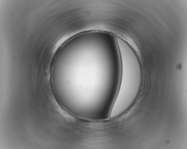 X0000091860944200709050954