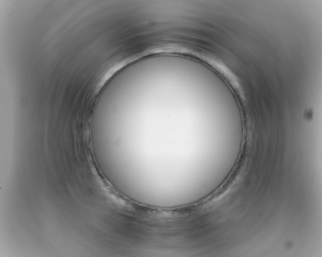 X0000091860945200709050954