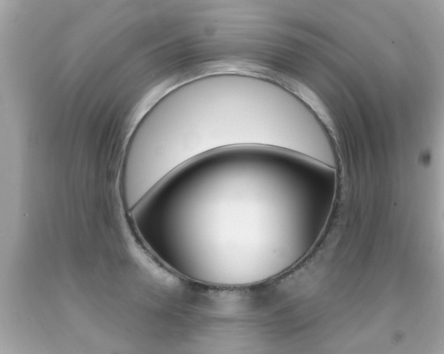 X0000091860946200709050954
