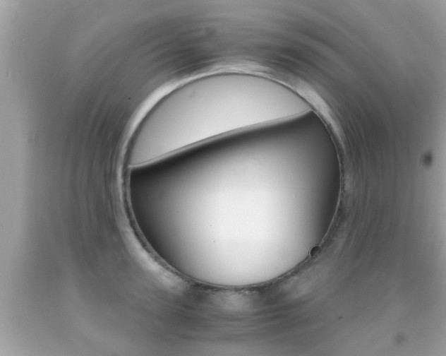 X0000091860947200709050954