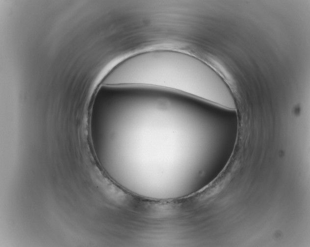 X0000091860948200709050954