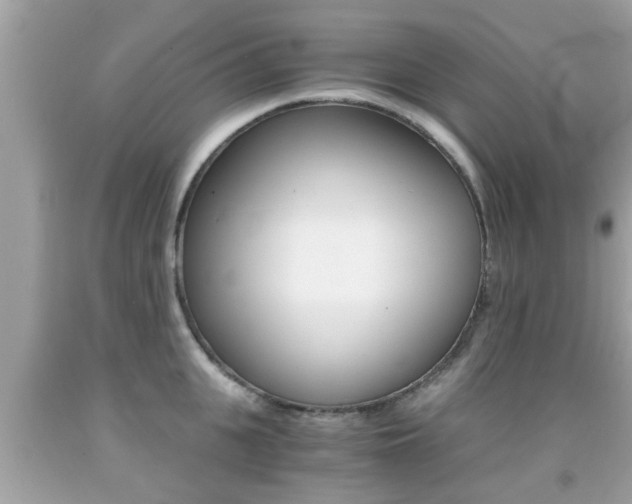 X0000091860951200709050954
