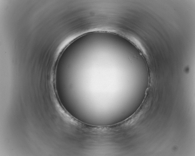X0000091860952200709050954
