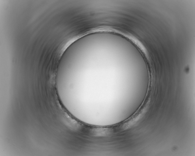 X0000091860953200709050954