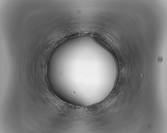 X0000091860961200709050953
