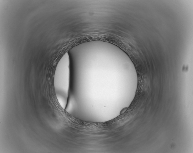 X0000091860962200709050953
