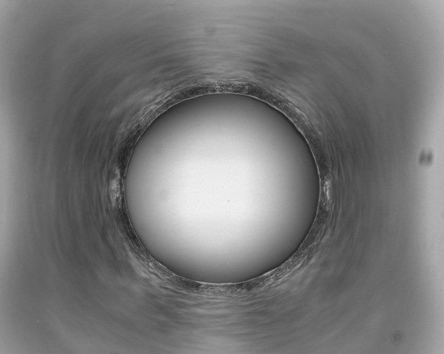 X0000091860963200709050953