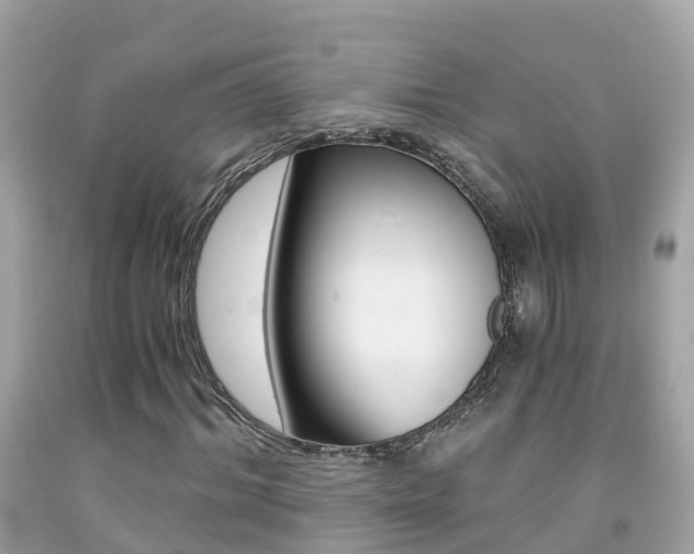 X0000091860964200709050953