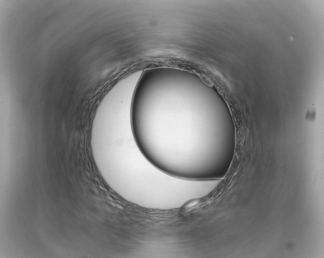 X0000091860965200709050953