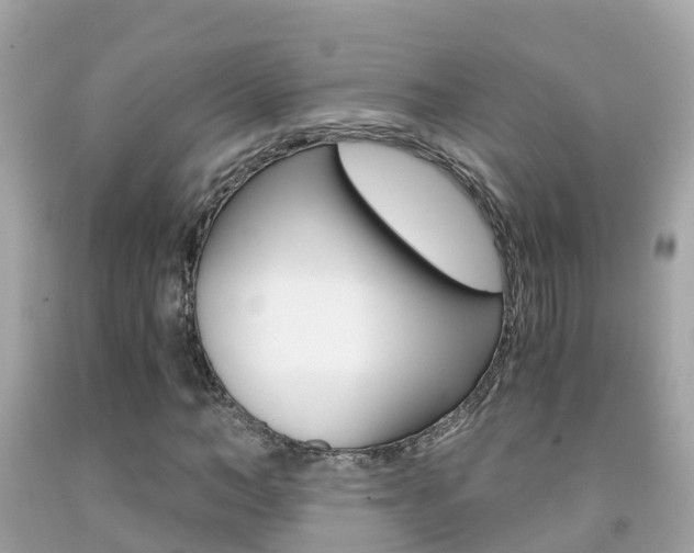 X0000091860966200709050953