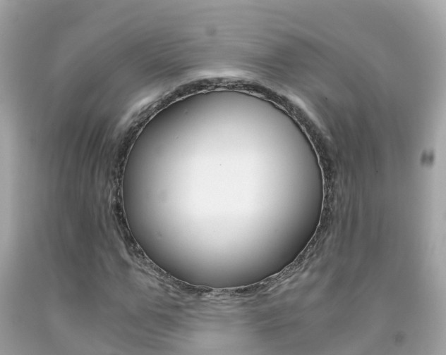 X0000091860967200709050953