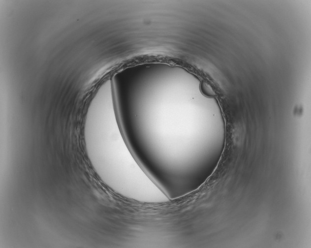 X0000091860968200709050953