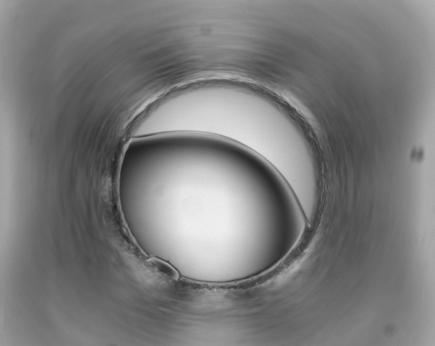 X0000091860969200709050953