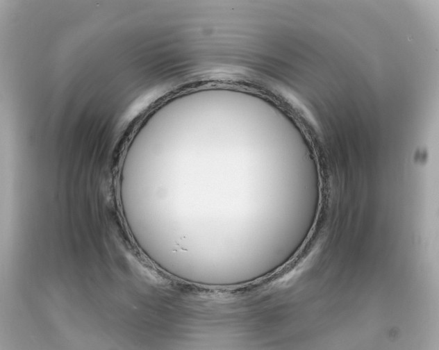 X0000091860970200709050953