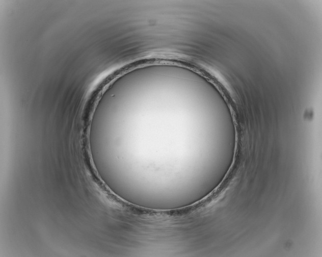 X0000091860971200709050953