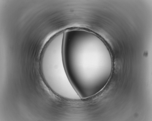 X0000091860972200709050953