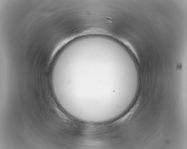 X0000091860973200709050953