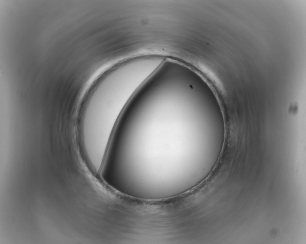 X0000091860976200709050953