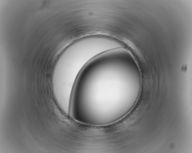 X0000091860977200709050953