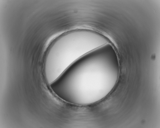X0000091860979200709050953