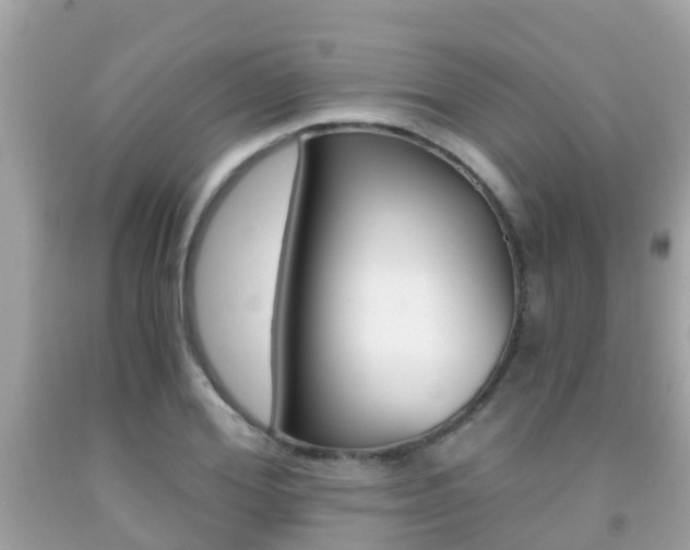 X0000091860980200709050953