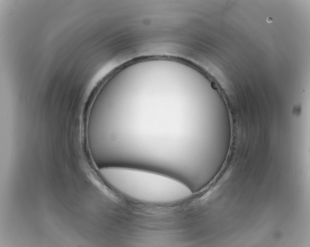 X0000091860982200709050953