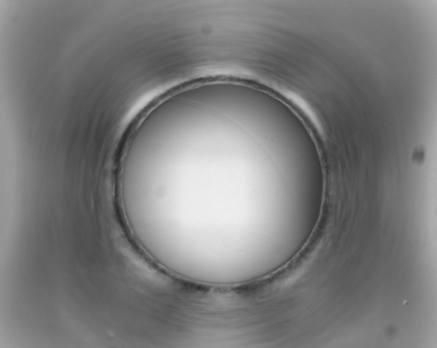 X0000091860983200709050953