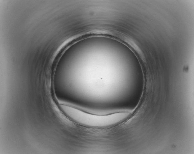 X0000091860984200709050953