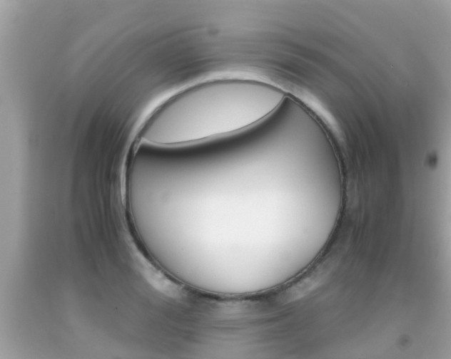 X0000091860988200709050953