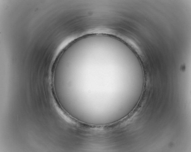 X0000091860990200709050953