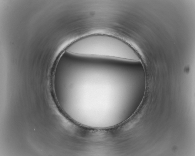 X0000091860991200709050953