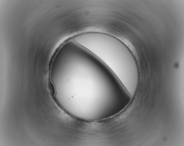 X0000091860992200709050953