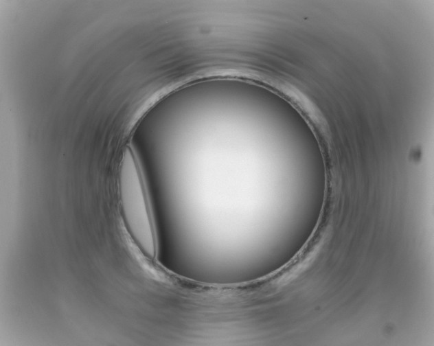 X0000091860993200709050953