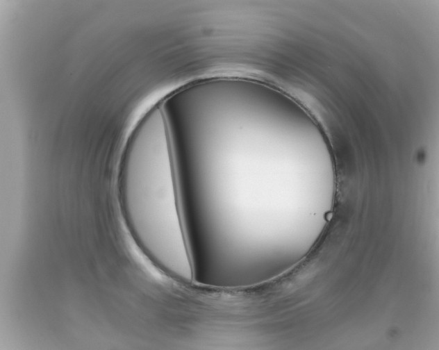X0000091860995200709050953