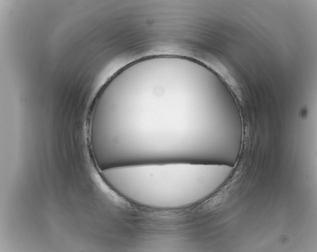 X0000091860998200709050953