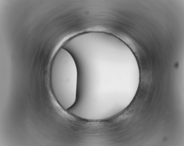 X0000091861000200709050953