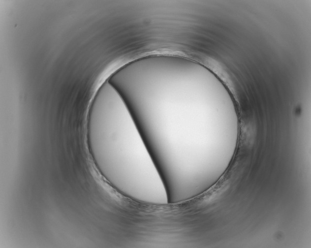 X0000091861002200709050953