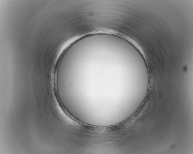 X0000091861003200709050953