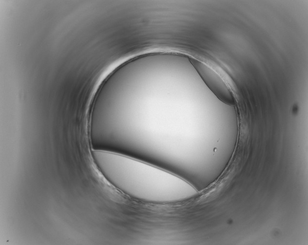 X0000091861004200709050953