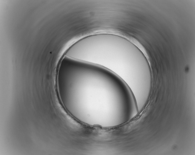 X0000091861005200709050953