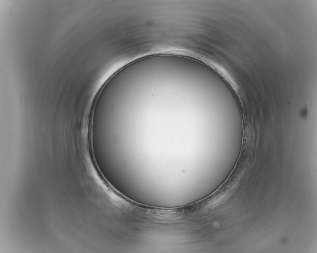 X0000091861007200709050953