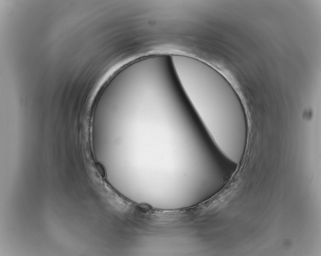 X0000091861008200709050953