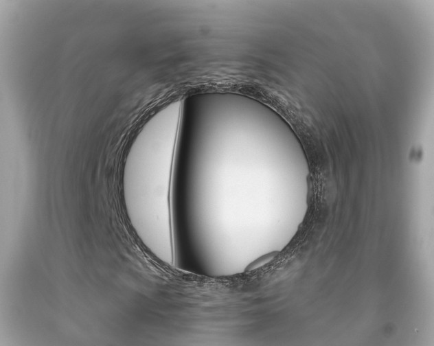 X0000091861009200709050952